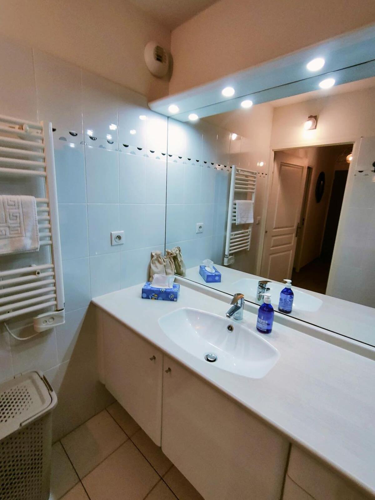 With Pool Air Conditioning Wifi And Garage Collioure